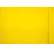 Yellow Envelop Jali 12" x 10" A/4